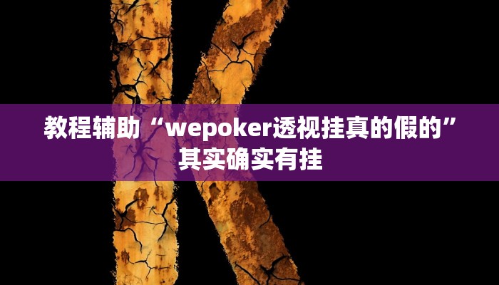 辅助神器“wepoker透视辅助软件下载”开挂步骤方法 辅助神器“wepoker透视辅助软件下载”开挂步骤方法