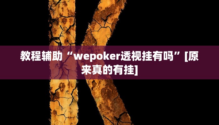 教程辅助“wepoker透视挂有吗”[原来真的有挂]