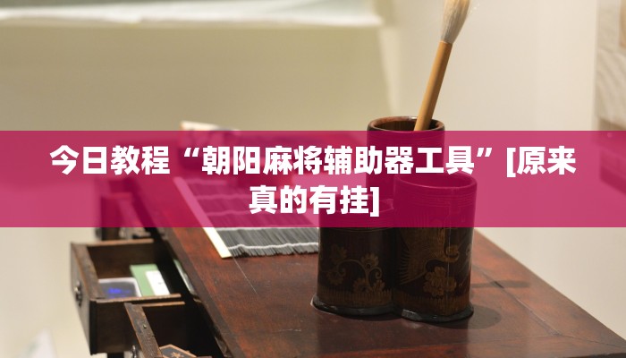 辅助神器“微乐捉老麻子开挂神器”开挂步骤方法 辅助神器“微乐捉老麻子开挂神器”开挂步骤方法