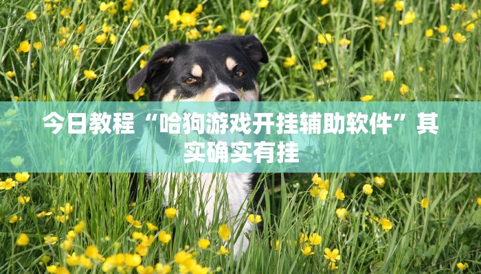 今日教程“卡贝大厅开挂辅助”其实确实有挂