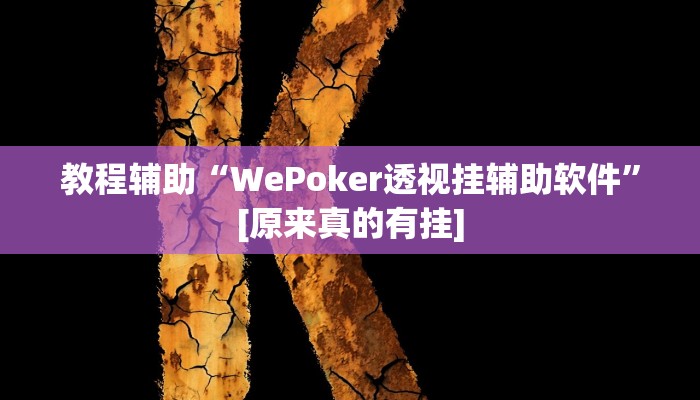 教程辅助“WePoker透视挂辅助软件”[原来真的有挂]