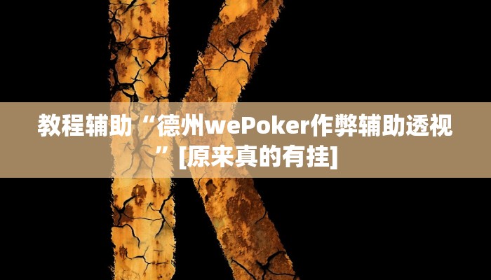 教程辅助“德州wePoker作弊辅助透视”[原来真的有挂]