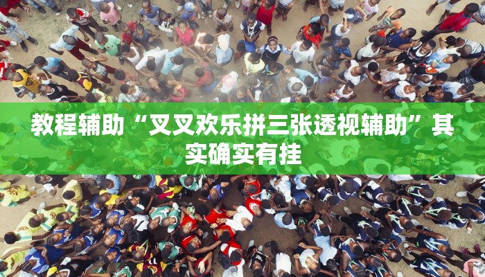 教程辅助“叉叉欢乐拼三张透视辅助”其实确实有挂