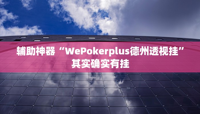 辅助神器“WePokerplus德州透视挂”其实确实有挂 辅助神器“WePokerplus德州透视挂”其实确实有挂