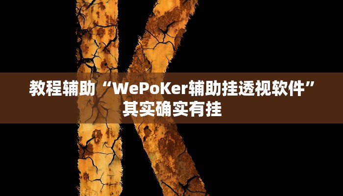 教程辅助“WePoKer辅助挂透视软件”其实确实有挂