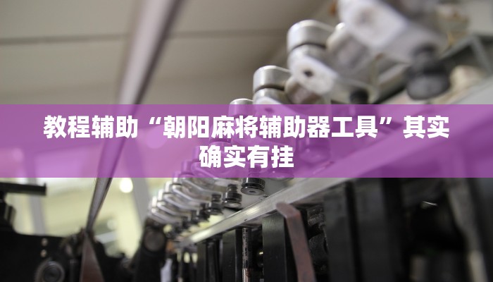 教程辅助“朝阳麻将辅助器工具”其实确实有挂