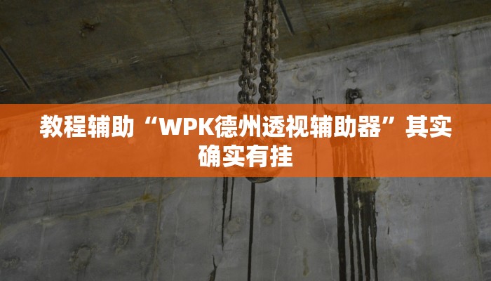 教程辅助“WPK德州透视辅助器”其实确实有挂