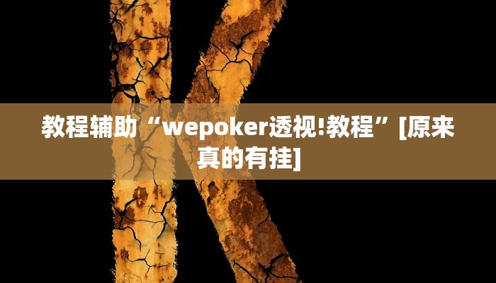 教程辅助“wepoker透视!教程”[原来真的有挂]
