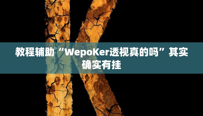 教程辅助“WepoKer透视真的吗”其实确实有挂 教程辅助“WepoKer透视真的吗”其实确实有挂