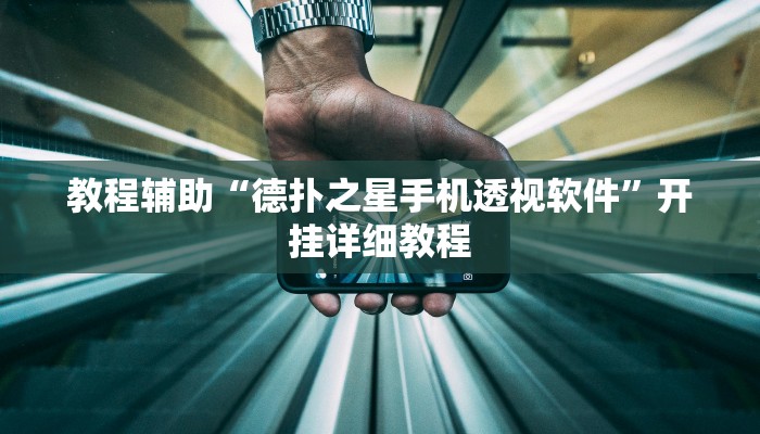 教程辅助“德扑之星手机透视软件”开挂详细教程