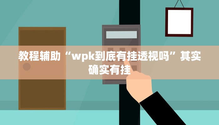 教程辅助“wpk到底有挂透视吗”其实确实有挂 教程辅助“wpk到底有挂透视吗”其实确实有挂
