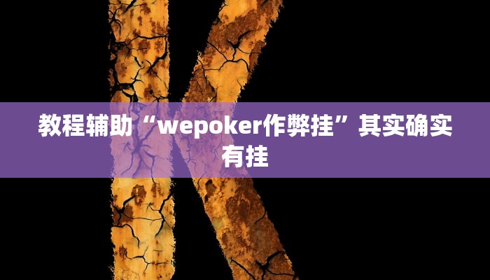 分析实测“Winner透视挂作弊辅助方法”开挂详细教程 分析实测“Winner透视挂作弊辅助方法”开挂详细教程
