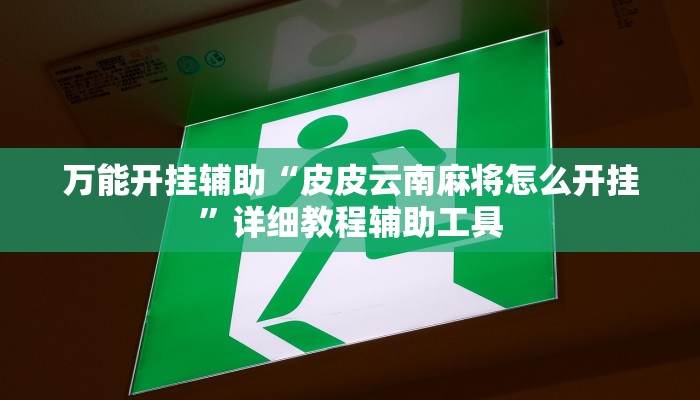 万能开挂辅助“皮皮云南麻将怎么开挂”详细教程辅助工具 万能开挂辅助“皮皮云南麻将怎么开挂”详细教程辅助工具