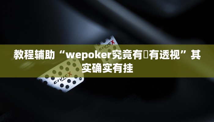 教程辅助“wepoker究竟有沒有透视”其实确实有挂
