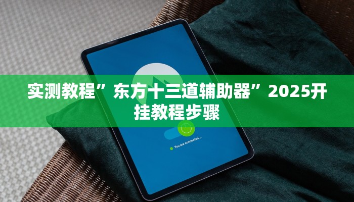 实测教程”东方十三道辅助器”2025开挂教程步骤
