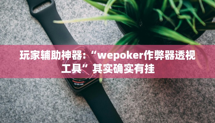 玩家辅助神器:“wepoker作弊器透视工具”其实确实有挂