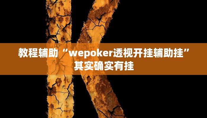 教程辅助“wepoker透视开挂辅助挂”其实确实有挂