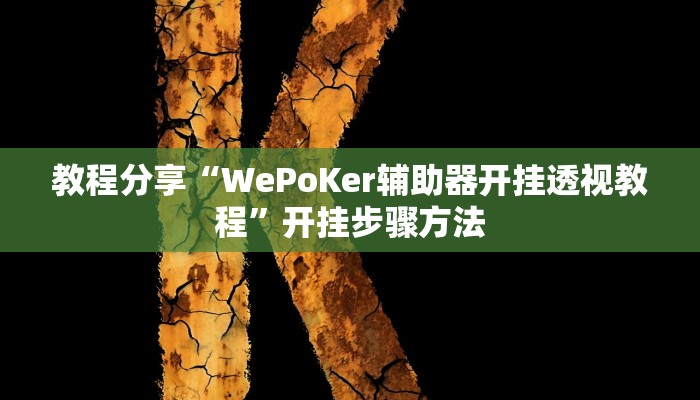 教程分享“WePoKer辅助器开挂透视教程”开挂步骤方法