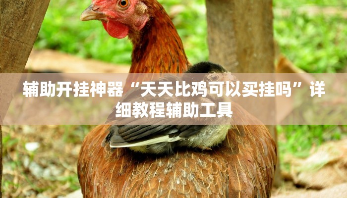 辅助开挂神器“天天比鸡可以买挂吗”详细教程辅助工具 辅助开挂神器“天天比鸡可以买挂吗”详细教程辅助工具