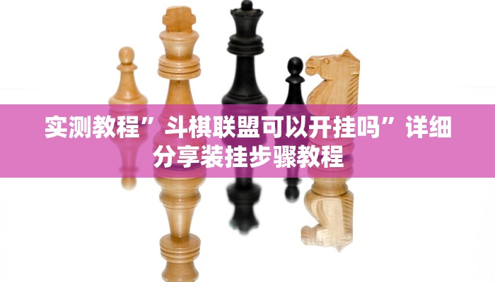 实测教程”斗棋联盟可以开挂吗”详细分享装挂步骤教程