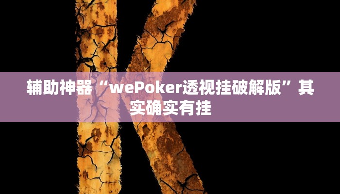 辅助神器“wePoker透视挂破解版”其实确实有挂