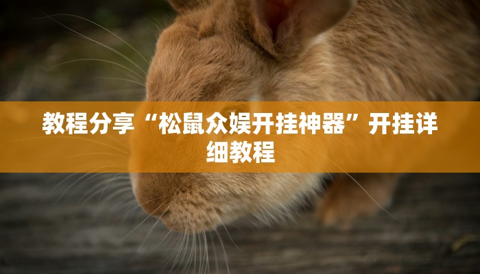 教程分享“松鼠众娱开挂神器”开挂详细教程