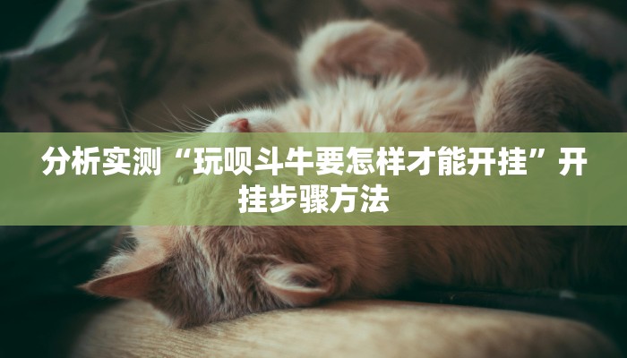 分析实测“玩呗斗牛要怎样才能开挂”开挂步骤方法