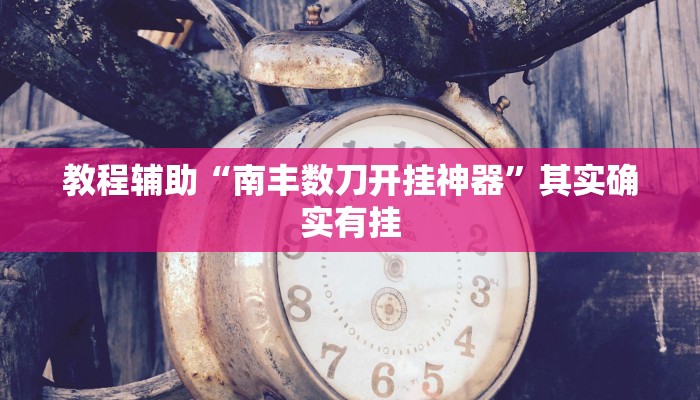 教程辅助“南丰数刀开挂神器”其实确实有挂 教程辅助“南丰数刀开挂神器”其实确实有挂