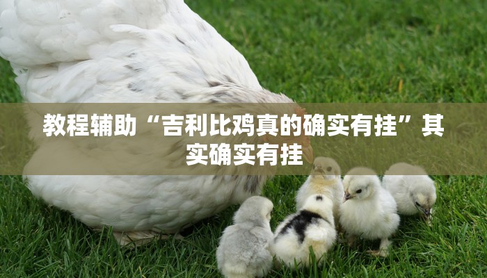 教程辅助“吉利比鸡真的确实有挂”其实确实有挂