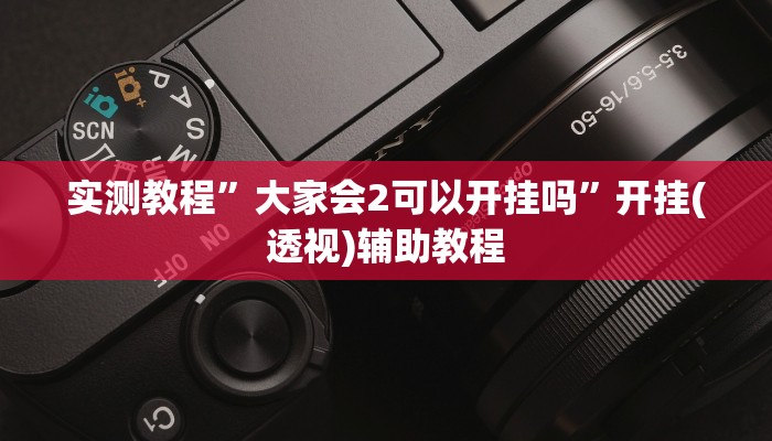 实测教程”大家会2可以开挂吗”开挂(透视)辅助教程