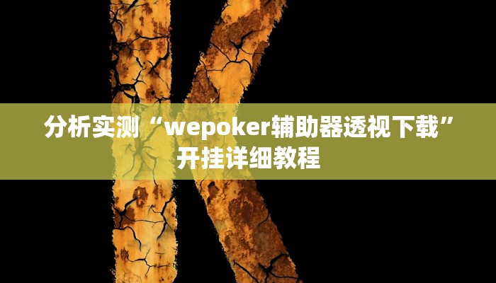 分析实测“wepoker辅助器透视下载”开挂详细教程
