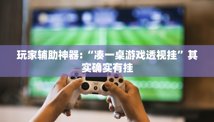 玩家辅助神器:“凑一桌游戏透视挂”其实确实有挂