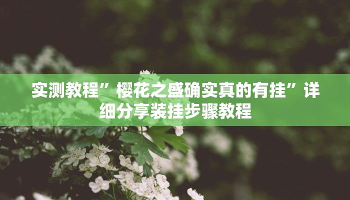 实测教程”樱花之盛确实真的有挂”详细分享装挂步骤教程 实测教程”樱花之盛确实真的有挂”详细分享装挂步骤教程